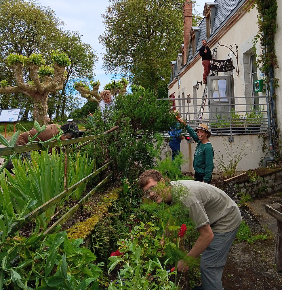 Intergenerational Communal Gardening