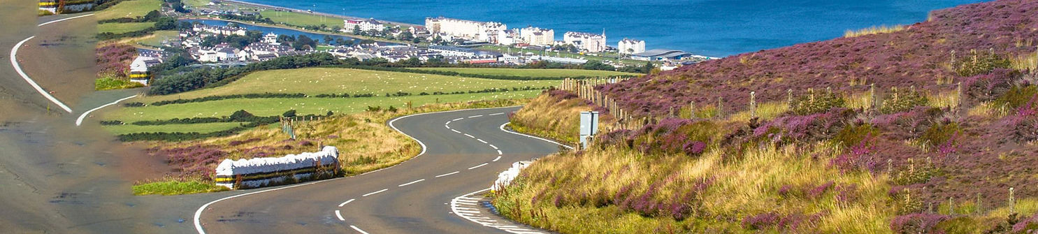 IOM Porsche web header image3.jpg