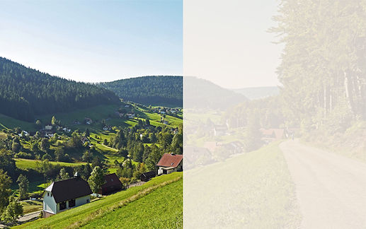 Black Forest Hotels Template.jpg