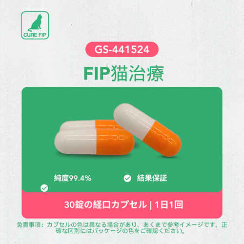 猫ちゃんFIP用のおくすり3錠 猫ちゃんFIP用のおくすり3錠