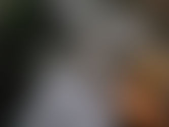 What Does “Holistic Skincare” Really Mean?