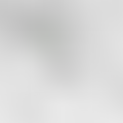 整合、創新、包容