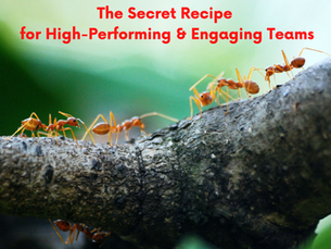 The Secret Recipe for High-Performing & Engaging Teams