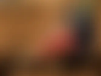 Equipe Honda Racing de Motocross investe em pré-temporada na Europa