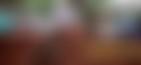 Quatro vitórias para a Pro Tork no Sportbay Paranaense de Motocross