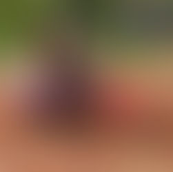 Enzo e Perez vencem também 2a. bateria em Canelinha