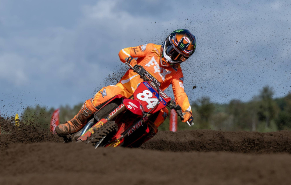 Herlings absoluto "em casa"