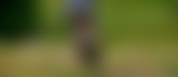 BITES Sportbay em Monte Alegre de Minas