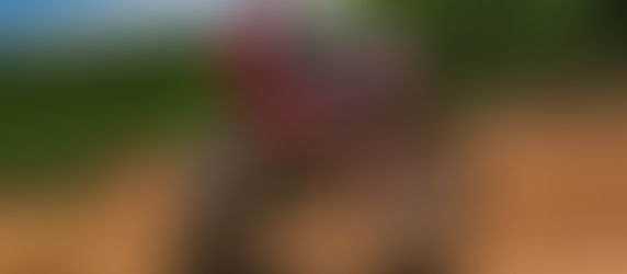 Crivilin vence Prólogo do Rally Minas Brasil