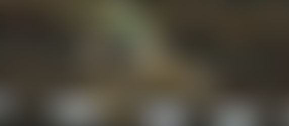 Webb vence 450SX e mantém liderança