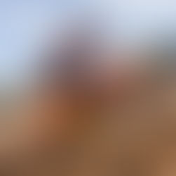 Irmãos Coenen vencem primeiras provas na Sardenha