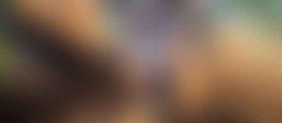 Sportbay Paranaense de Velocross realiza evento em Salto Del Guairá, no Paraguai