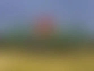 Febvre retorna às competições