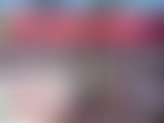 Arena Freestyle Internacional transforma Parque Villa-Lobos em palco de adrenalina neste sábado