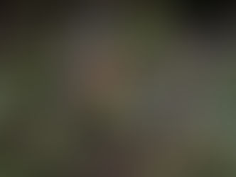 Lettenbichler vence etapa francesa do Mundial de Hard Enduro