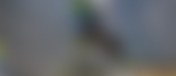 No AMA MX, Tomac vence 1a. bateria da 450MX