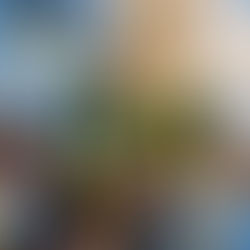 Brasileiro Murilo Fischer será mais uma vez embaixador do Tour de France