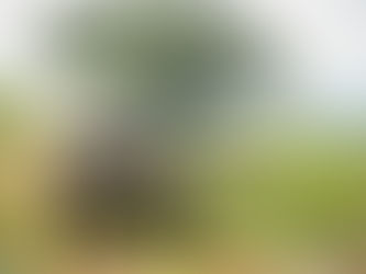 Após desafio com poeira e lama, os campeões do Rally Rota Sudeste foram definidos