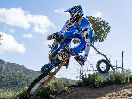 Gajser absoluto em Mantova