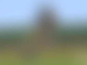 Anderson fora do AMA SX