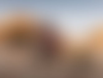 Vitória de Schareina nesta terça-feira, com Sanders assumindo a liderança