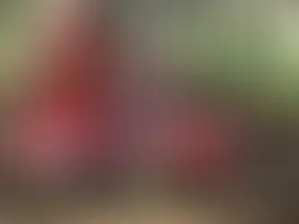 Enzo na segunda etapa do MXGP