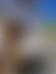 Les Terres Salées, très vieilles vignes de Bourboulenc plantées dans les anciens marais du Massif de la Clape. 