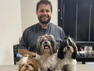 Dr. Kléber Victor durante a consulta com três cachorros.