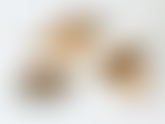 Cachorro deitado ao lado de um pote cheio de ração sem comer, representando falta de apetite em pets.