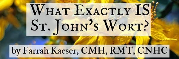 st. johns wort