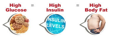 insulin body fat