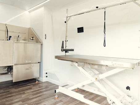 Mobile Dog Grooming in Altamonte Springs, FL