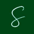Seintech Favicon.png