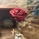 Thumbnail: Leather Rose(with wooden flower stand)｜Finished Product｜Made in Hong Kong