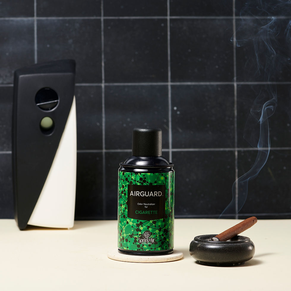 Miniaturbild: SpringAir Duftspray Airguard for Cigarette 250ml