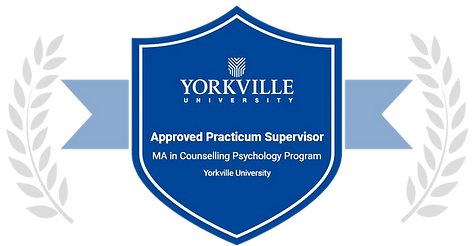 yorkvillepracticumapproved.png