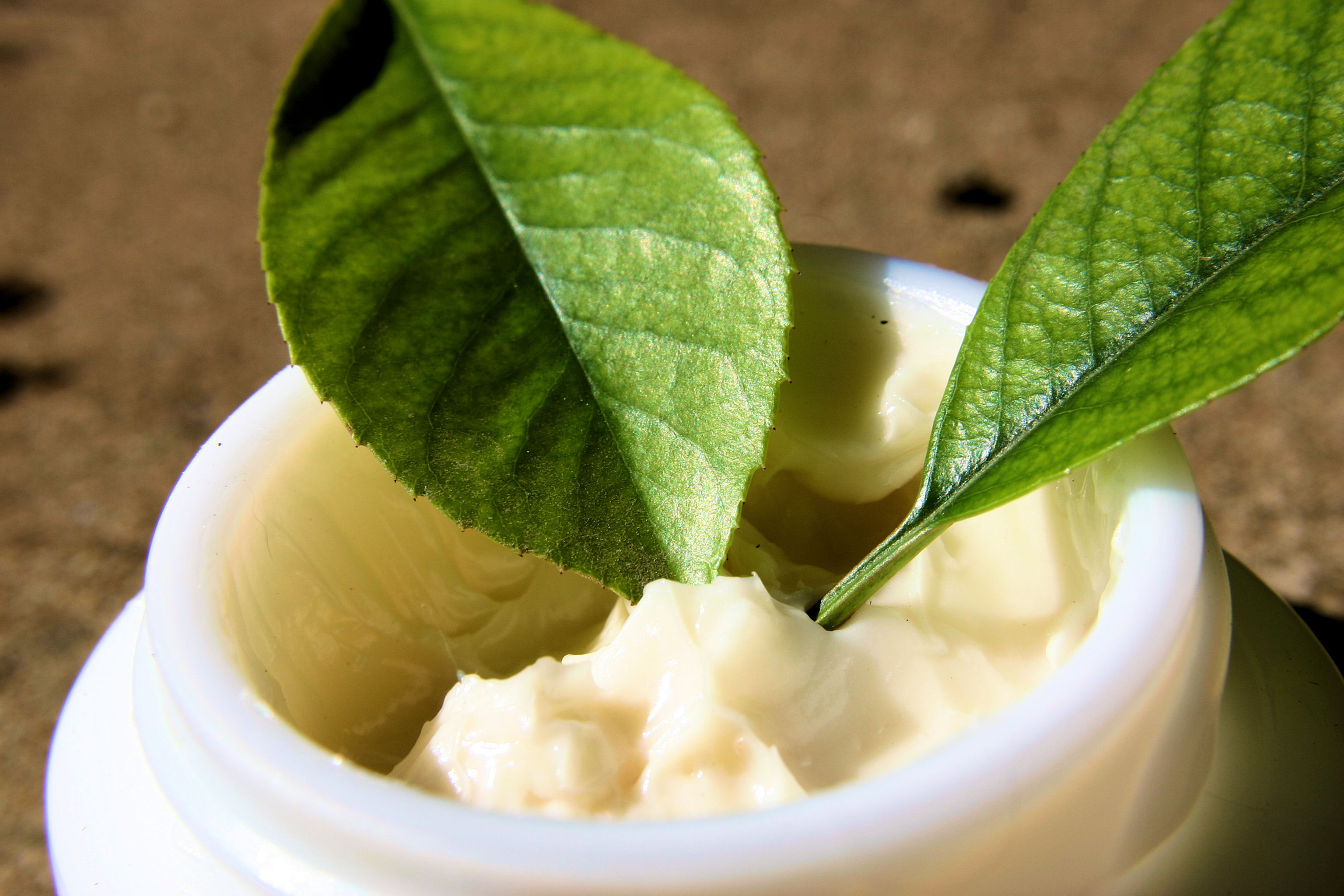 Day Dream Cream