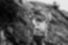 Copyright Darby Magill-BW-2307.jpg