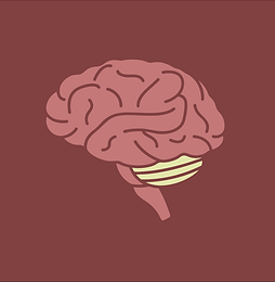 2026 Season Announcement-20.png