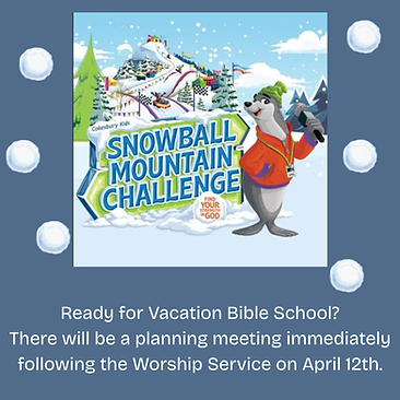 VBS 2026.png