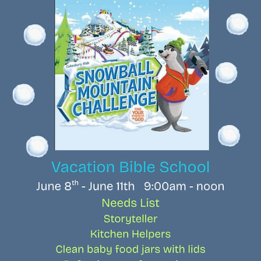 VBS 2026.png