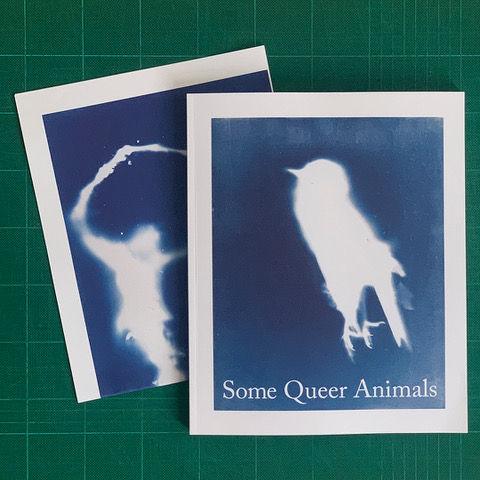 FREE EXHIBITION: Negative Press Artists’ Books Reading Room