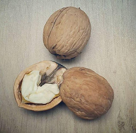 Sutter Buttes Mercantile Walnuts