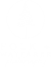 Folk-and-Wayfarer-Photography-Kaleidoscopic-Creative-Graphic-Design-Festival-Design-Merch-Design-Poster-Design-Branding-Website-Design-Greenville-SC-Creative-Solutions-Visual-Identity-Event-Branding-Custom-Design-Artistic-Collaboration-Digital-Marketing-Print-Design-Local-Business-Innovative-Design-User-Friendly-Websites-Brand-Strategy-Cultural-Events-Design-Agency-Empowered-Women-Owned-Business