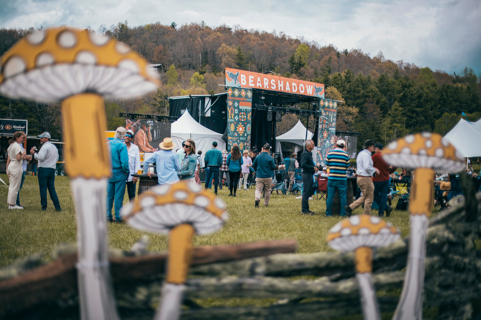 Graphic-design-greenville-sc-festival-design-branding-web-design-custom-illustration-creative-agency-custom-branding-poster-design-merchandise-design-event-design-website-development-festival-branding-agency-kaleidoscopic-creative-art-illustration-credential-design-stage-design-visual-identity-brand-strategy-woman-owned-business-bear-shadow-festival-highlands-nc-2022