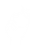 chattoogabellefarm.upick