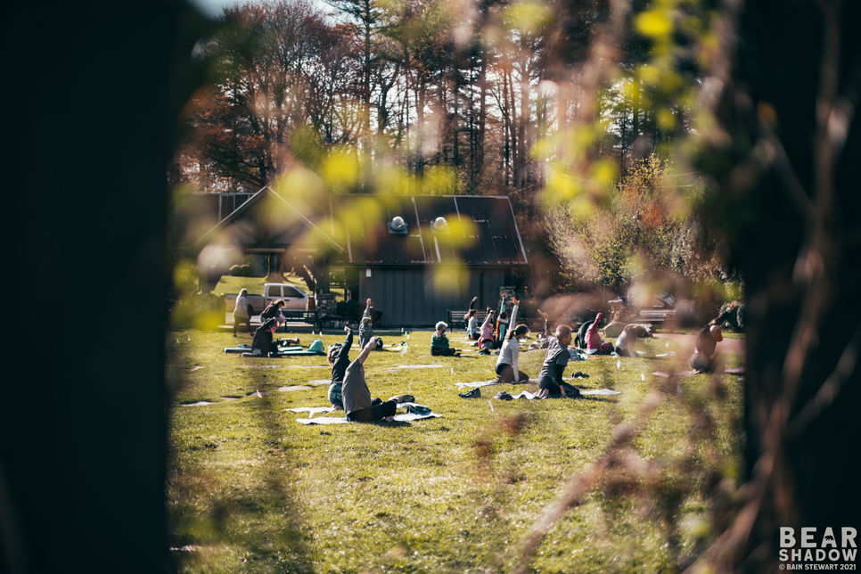 Graphic-design-greenville-sc-festival-design-branding-web-design-custom-illustration-creative-agency-custom-branding-poster-design-merchandise-design-event-design-website-development-festival-branding-agency-kaleidoscopic-creative-art-illustration-credential-design-stage-design-visual-identity-brand-strategy-woman-owned-business-bear-shadow-festival-highlands-nc