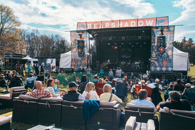 Graphic-design-greenville-sc-festival-design-branding-web-design-custom-illustration-creative-agency-custom-branding-poster-design-merchandise-design-event-design-website-development-festival-branding-agency-kaleidoscopic-creative-art-illustration-credential-design-stage-design-visual-identity-brand-strategy-woman-owned-business-bear-shadow-festival-highlands-nc-2022