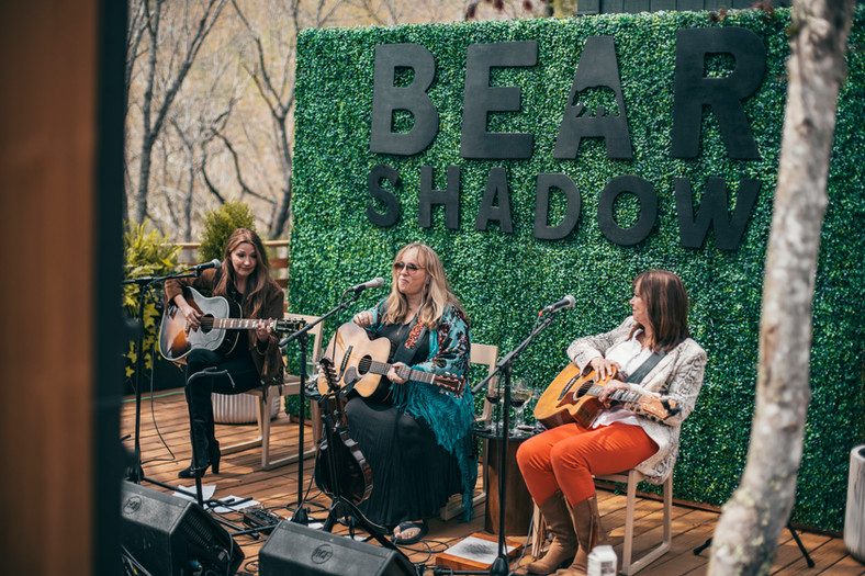 Graphic-design-greenville-sc-festival-design-branding-web-design-custom-illustration-creative-agency-custom-branding-poster-design-merchandise-design-event-design-website-development-festival-branding-agency-kaleidoscopic-creative-art-illustration-credential-design-stage-design-visual-identity-brand-strategy-woman-owned-business-bear-shadow-festival-highlands-nc-2022