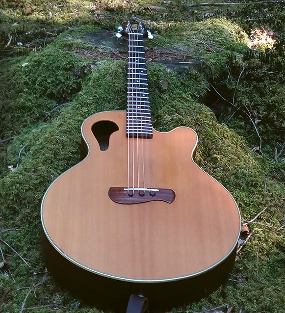 uber troubadour-detail72DPI.png